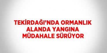 20899218562269727118tasarimli