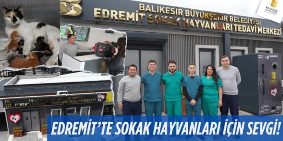 EDREMİT’TE SOKAK HAYVANLARI İÇİN SEVGİ!