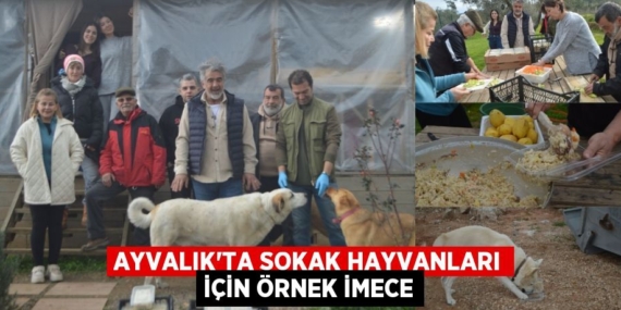 AYVALIK’TA SOKAK HAYVANLARI İÇİN ÖRNEK İMECE