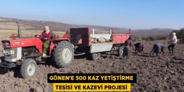 20914251912515828463tasarimli