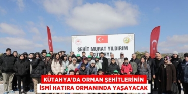 20914285942109320173tasarimli