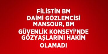 20917290422734922365tasarimli