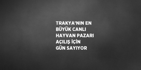 TRAKYA’NIN EN BÜYÜK CANLI HAYVAN PAZARI AÇILIŞ İÇİN GÜN SAYIYOR