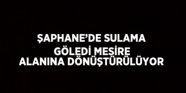 20923215802762521859tasarimli