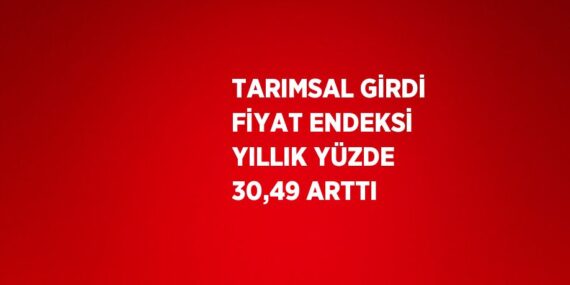 TARIMSAL GİRDİ FİYAT ENDEKSİ YILLIK YÜZDE 30,49 ARTTI