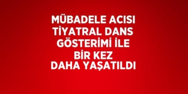 20952296612586820539tasarimli