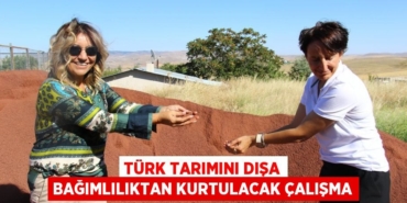 20954265172351423266tasarimli