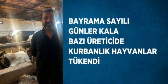 BAYRAMA SAYILI GÜNLER KALA BAZI ÜRETİCİDE KURBANLIK HAYVANLAR TÜKENDİ