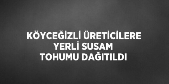 KÖYCEĞİZLİ ÜRETİCİLERE YERLİ SUSAM TOHUMU DAĞITILDI