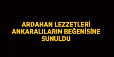 20974262652879520188tasarimli
