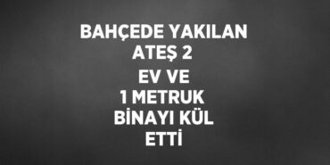20979296542861125914tasarimli