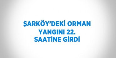 20982244912062028642tasarimli