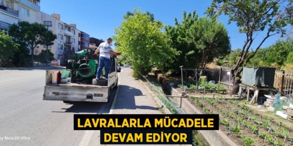 LAVRALARLA MÜCADELE DEVAM EDİYOR