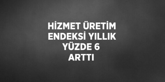HİZMET ÜRETİM ENDEKSİ YILLIK YÜZDE 6 ARTTI