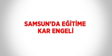 20994234602597322528tasarimli