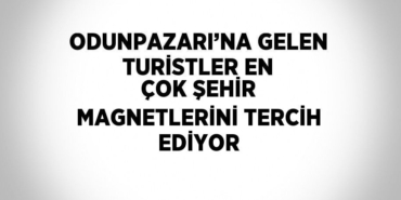 21003224982819229637tasarimli