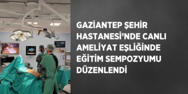 21003242312366222055