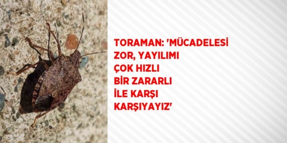 TORAMAN: ‘MÜCADELESİ ZOR, YAYILIMI ÇOK HIZLI BİR ZARARLI İLE KARŞI KARŞIYAYIZ’
