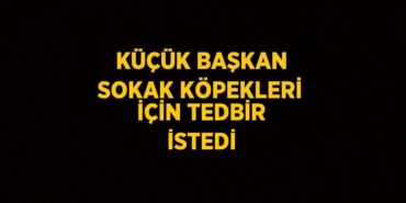 21006285882506728340tasarimli