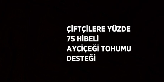 ÇİFTÇİLERE YÜZDE 75 HİBELİ AYÇİÇEĞİ TOHUMU DESTEĞİ