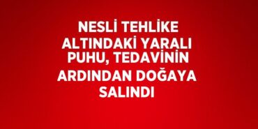 21011254742687130842tasarimli