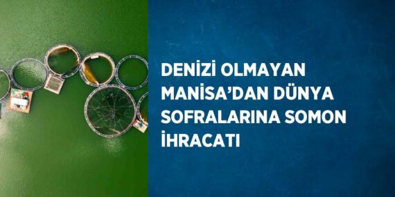 DENİZİ OLMAYAN MANİSA’DAN DÜNYA SOFRALARINA SOMON İHRACATI