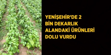 21019231272873025864
