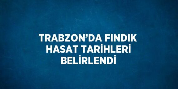 TRABZON’DA FINDIK HASAT TARİHLERİ BELİRLENDİ