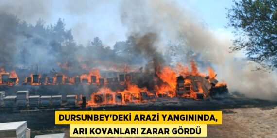 Dursunbey’deki arazi yangınında, arı kovanları zarar gördü
