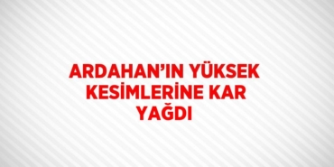 21032282822606528929tasarimli