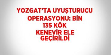 21045258992256127718tasarimli