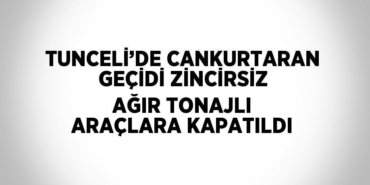 21045310452353931308tasarimli