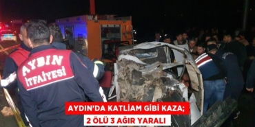 21046287122830830087tasarimli