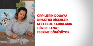 21050216572083624091
