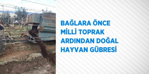 BAĞLARA ÖNCE MİLLİ TOPRAK ARDINDAN DOĞAL HAYVAN GÜBRESİ