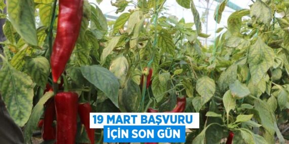 19 MART BAŞVURU İÇİN SON GÜN
