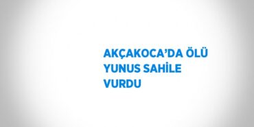 21053302522668428186