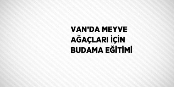 VAN’DA MEYVE AĞAÇLARI İÇİN BUDAMA EĞİTİMİ