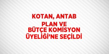 21060298712071127595tasarimli