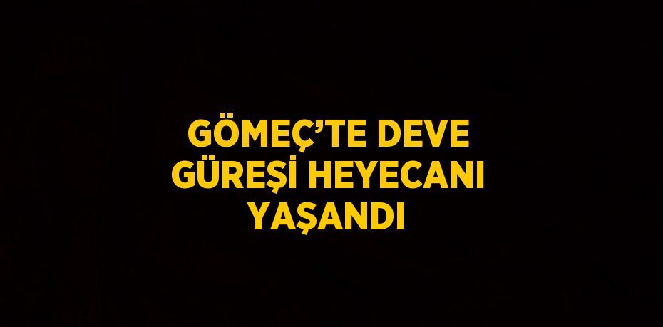 21063303412931823230tasarimli