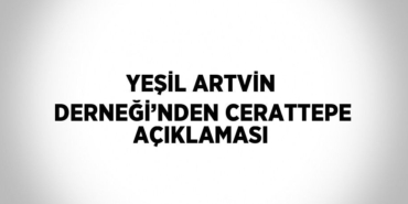 21064266012768323492tasarimli