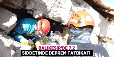 21064301433128921033tasarimli