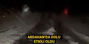 21068238822199726969tasarimli