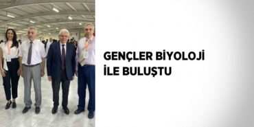 21074285803056629913