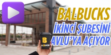 21077303222135727351