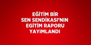 21085315822926321386tasarimli