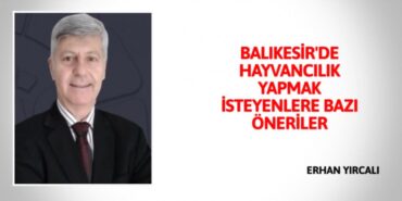 21088264602897120584