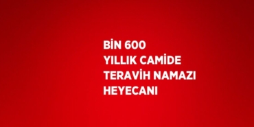 21090271782104530066