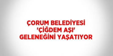 21093268922669429043tasarimli
