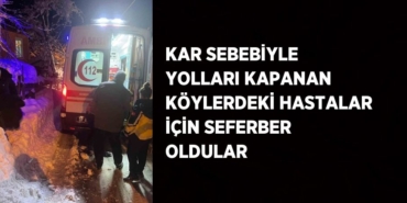 21104289402981931761